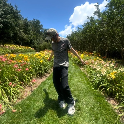 Birds in the air - Single