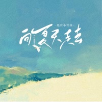 向夏天走去 - Single - 绝世小雪琪
