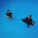 Pool Rules - Single