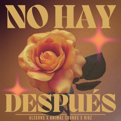 No Hay Después - Single
