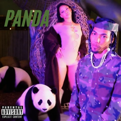 Panda - Single