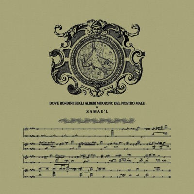 Dove Rondini Sugli Alberi Muoiono Del Nostro Male - Single