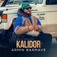 Kalidor (Solo Version) - Single - Armin Barmaye
