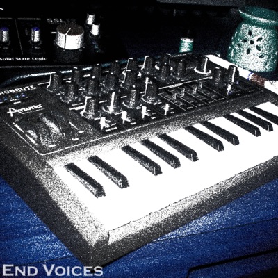 End Voices - EP