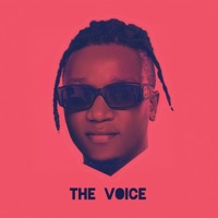 The Voice - EP - Spizzo Cpy