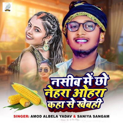 Nasib Me Chho Nehara Ohara Kaha Se Khebahi - Single