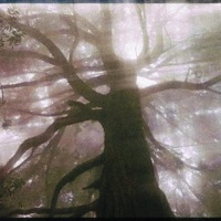 looping_memories - Single - Willix