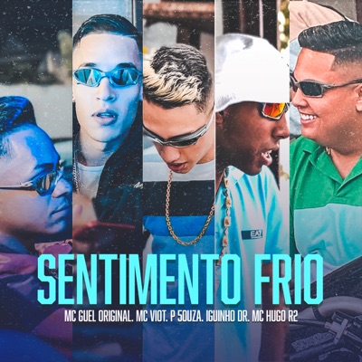 Sentimento Frio (feat. Iguinho DR & MC Hugo R2) - Single
