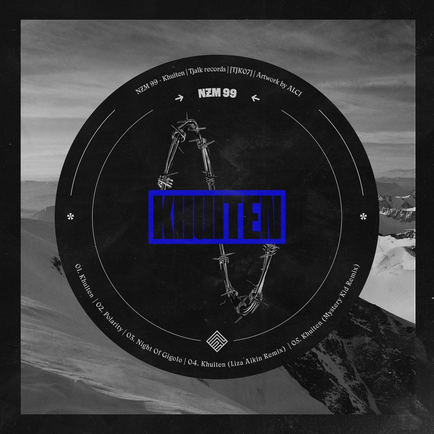 Nzm 99 - Polarity (Original Mix)