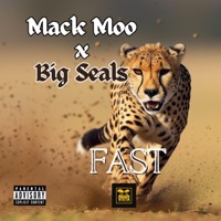 Fast - EP - Mack Moo