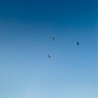 olvídate de mi - Single - kepa