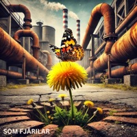 Som Fjärilar (feat. Lycouz) - Single - Maqs