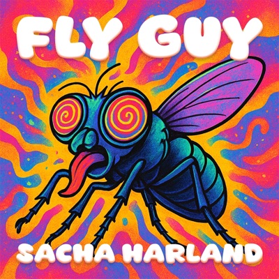 Fly Guy (Extended Mix) - Single