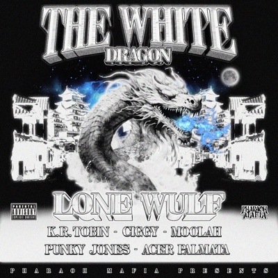 FACES + PLACES (feat. Moolah) - Single