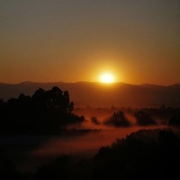Somewhere Else - Single - Hoatsin