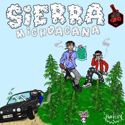 Sierra Michoacana (feat. Wesos El Savage & Pxison) - Single