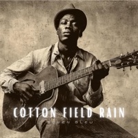 Cotton Field Rain - Soren Bleu