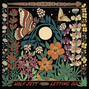 Letting Go (feat. Jason Crosby) - Single