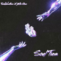 Soul Ties (feat. Twinkdabeatman & Willie Ozee) - Single - Roj & Twinkie