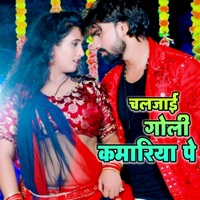 Chal Jaai Goli Kamariya Pe - Single - Anuj Tiwari & Sadhana Sargam