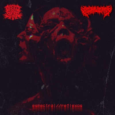 Espectral//Reflexos (feat. Leonardo Binelli & Spectral Despair) - Single