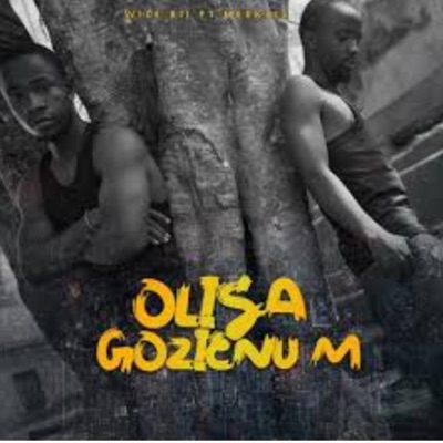 Olisa gozienu m (feat. Meek6ix) - Single