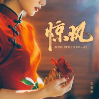 惊风 (影视剧《繁花》宝总同人曲) - Single - 王若熙