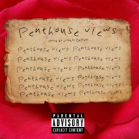 Penthouse Views - Single - D3szn