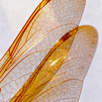 ALL DAY - Single - Rihanno