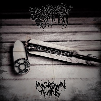 SHARE THE BULLET (feat. Ingrown Twins) - Single