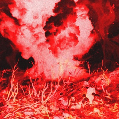 WAR (feat. Longlost) - Single