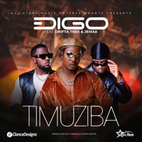 Timuziba (feat. Drifta Trek & Jemax) - Single - Digo