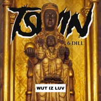 Wut Iz Luv - Single - T Swin