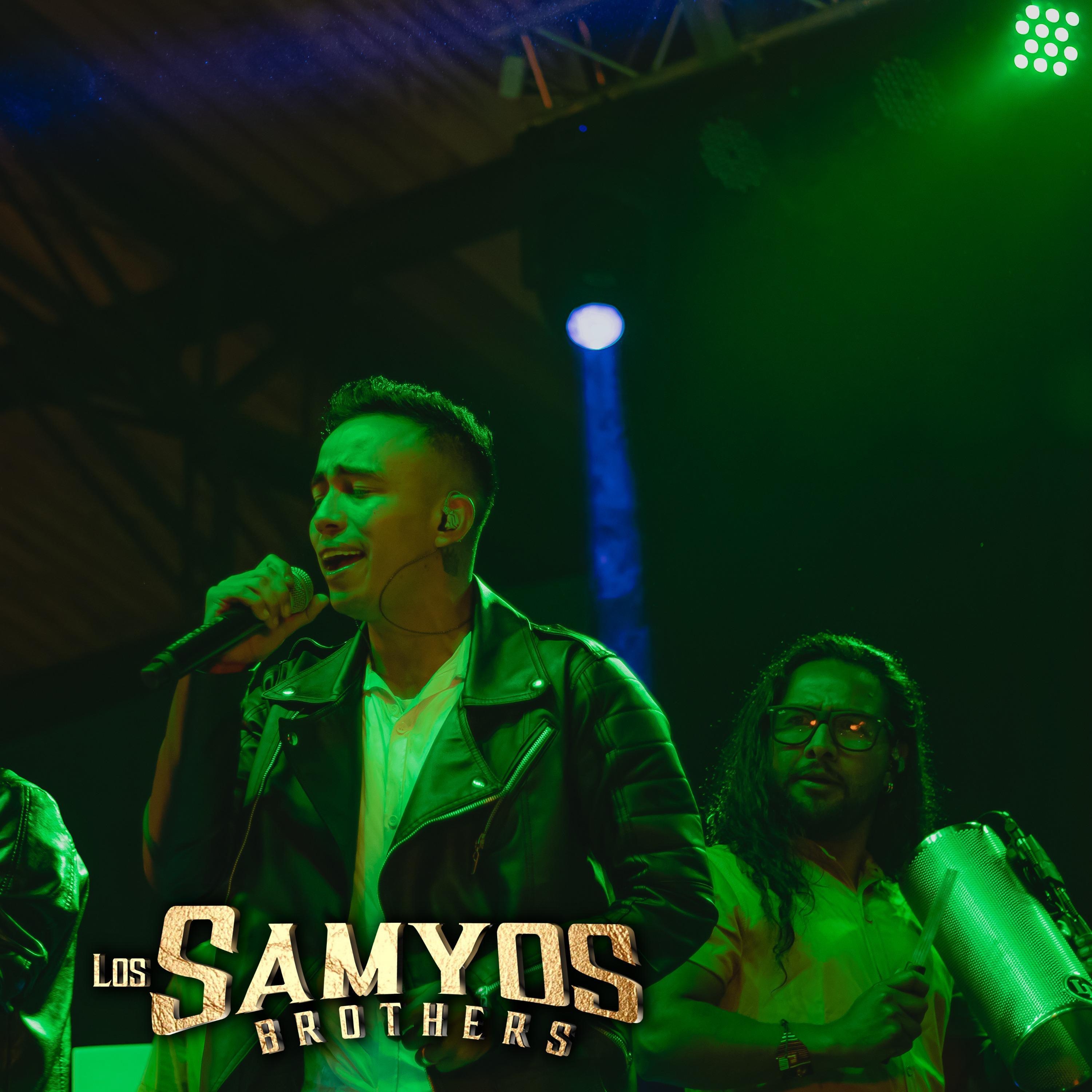 Mi Chica Fiel Remix - Single