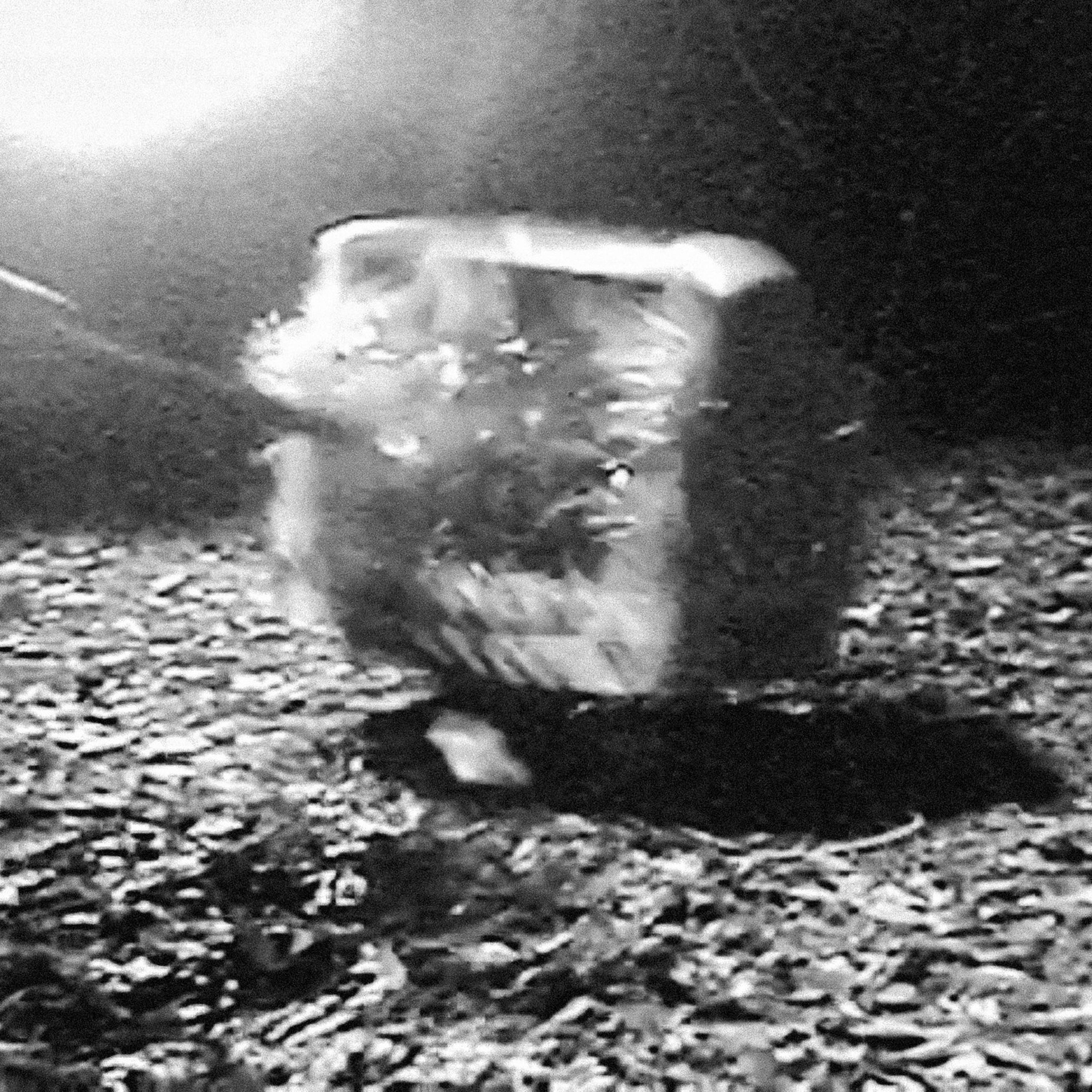 Moon Machine - Single