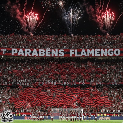 Parabens Flamengo - Single
