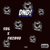 DND - Single (feat. SHORTBUS GEE) - Single