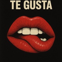 Te Gusta (Radio Edit) - Single - Tomaro