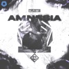 Amnesia - Single