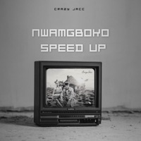 Nwamgboko (Speed Up) - Single - CRAZY JACC
