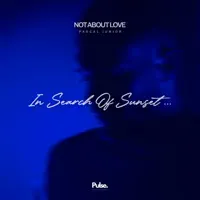Not About Love — Pascal Junior