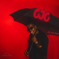 OJO (RAIN) - Single - Zion not Zeeyon