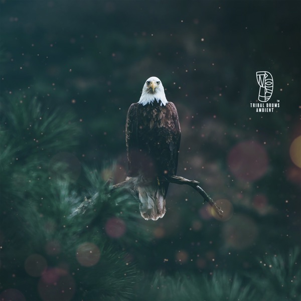 Path of the Eagle: Native American Soul Exploration and Journeying