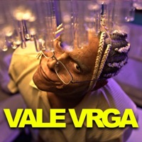 Vale Vrga - Single - Asmed