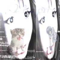 This Life Is a F*****g Joke (feat. reiu) - Single - Sirellia