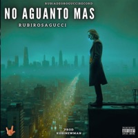 NO AGUANTO MAS (feat. RubiNewman prod) - Single - Rubirosagucci