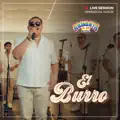 EL BURRO