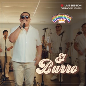 El Burro (Live Session)