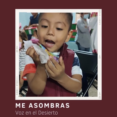 Me Asombras - Single
