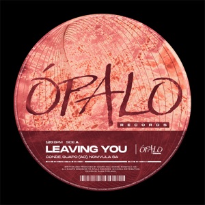 Leaving You